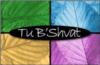 Tu Beshvat fest